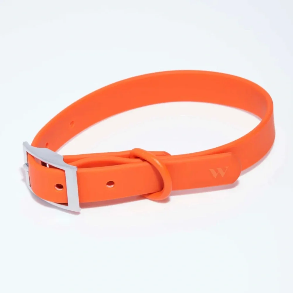 Wild One Dog Collar - XL (18-23